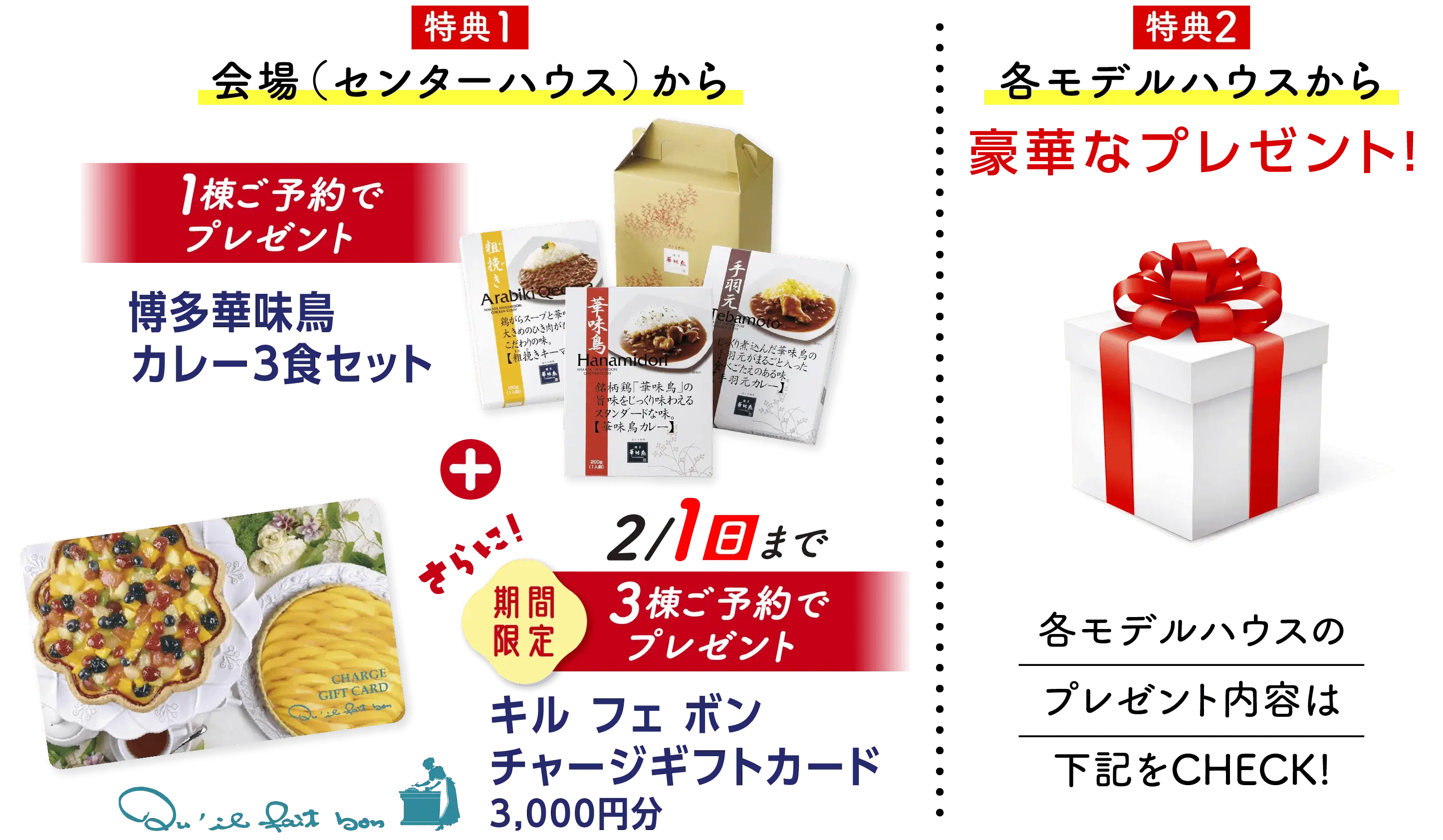 博多華味鳥カレー+キル フェ ボン